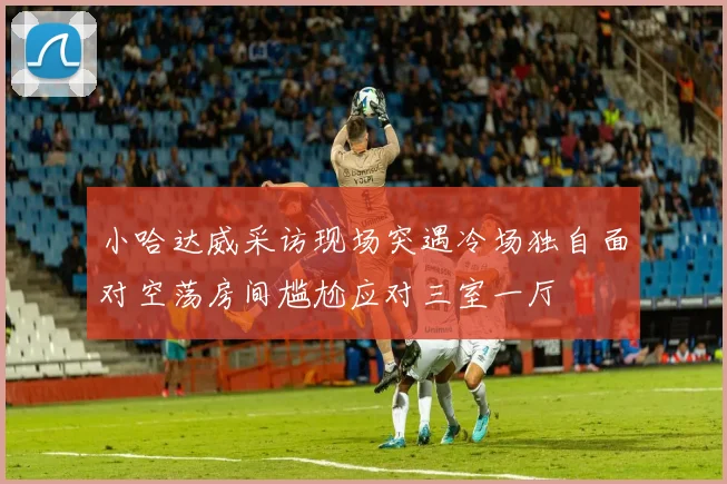 小哈达威采访现场突遇冷场独自面对空荡房间尴尬应对三室一厅