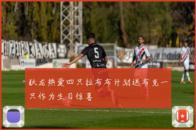 狄龙热爱四只拉布布计划送布克一只作为生日惊喜
