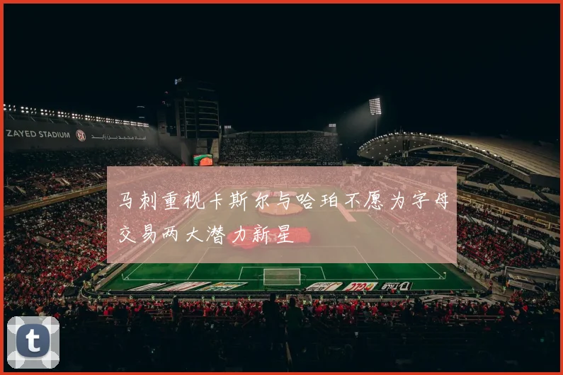 马刺重视卡斯尔与哈珀不愿为字母交易两大潜力新星