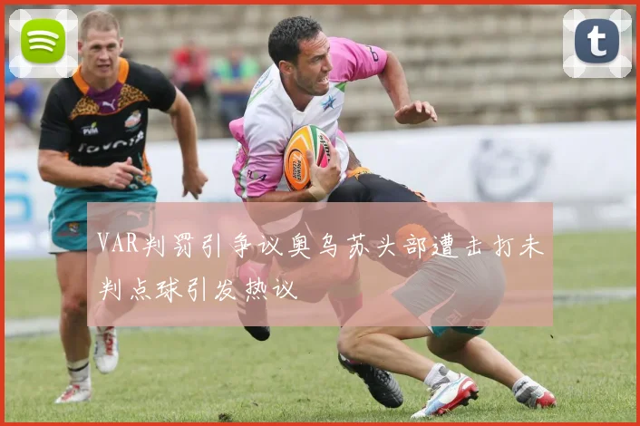 VAR判罚引争议奥乌苏头部遭击打未判点球引发热议